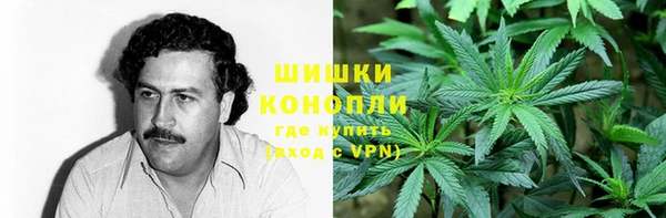 гидропоника Абаза