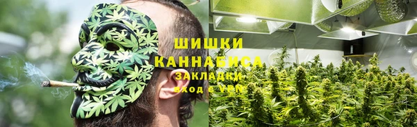 гидропоника Абаза