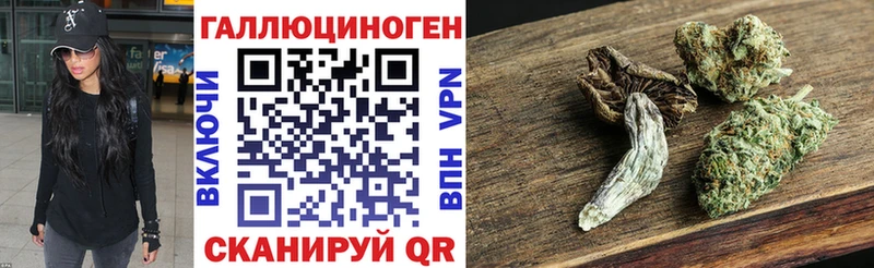 Галлюциногенные грибы Psilocybe  Ядрин 