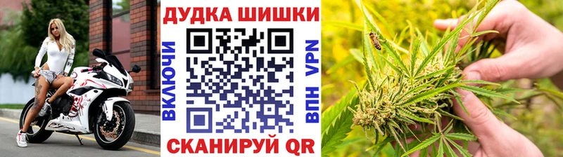 где продают наркотики  Ядрин  ссылка на мегу зеркало  МАРИХУАНА Bruce Banner 